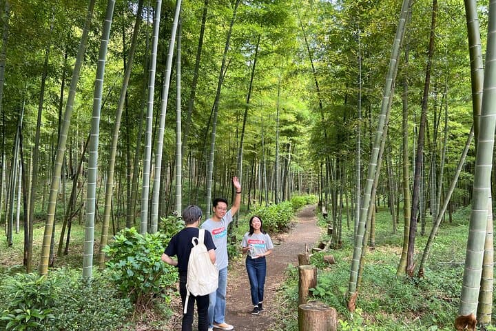 Beppu Private Tour - Onsen Experience in nature — photo 3