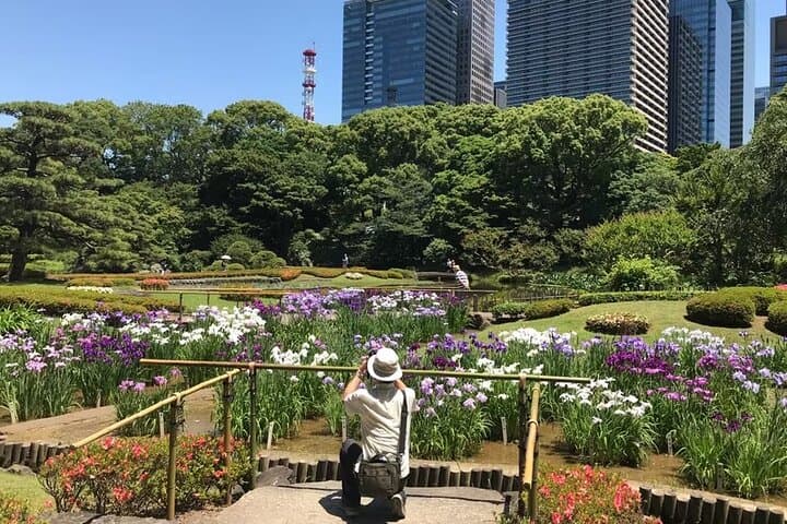 Discover the Heart of Tokyo Private tour with Romy — photo 6