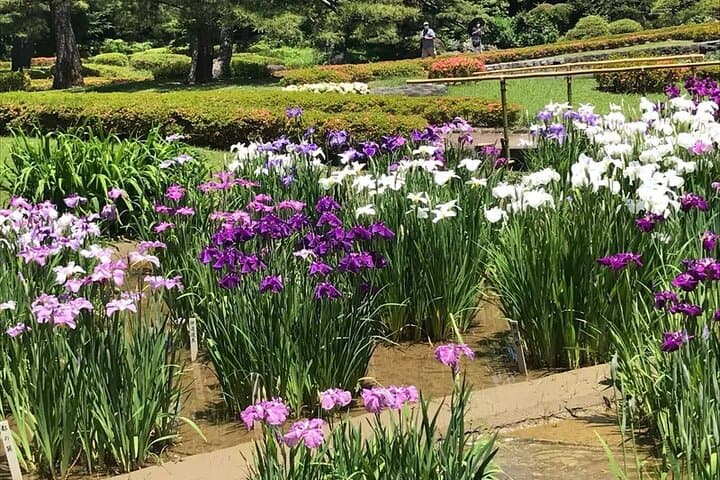 Discover the Heart of Tokyo Private tour with Romy — photo 13