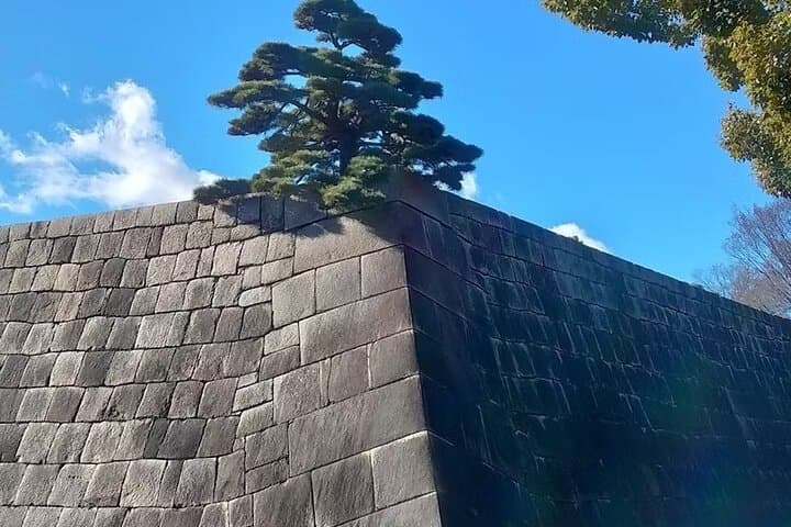 Discover the Heart of Tokyo Private tour with Romy — photo 11