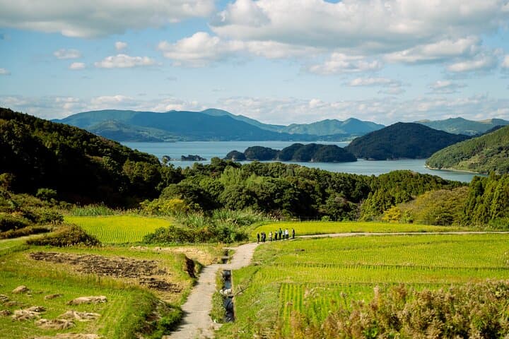 Spectacular terraced rice field walking experience — photo 4