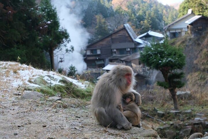 Nagano Private Tour With English Speaking Driver — photo 10