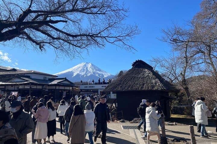 Tokyo: Mt Fuji & Hakone 2-Day Private Tour with Onsen Ryokan Stay — photo 10