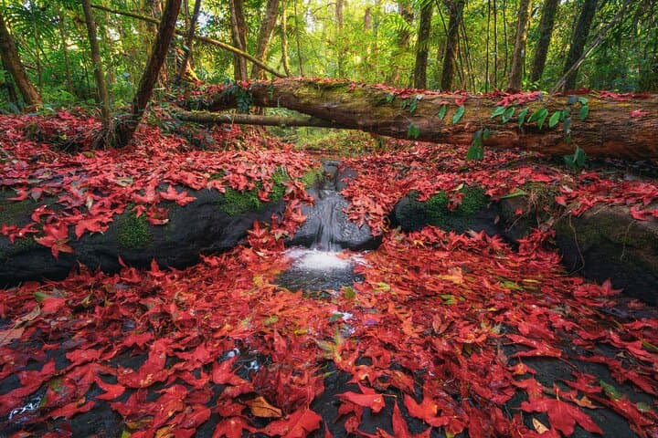 Nikko Private Day Tour - English Guide - Onsen & UNESCO Shrine — photo 7