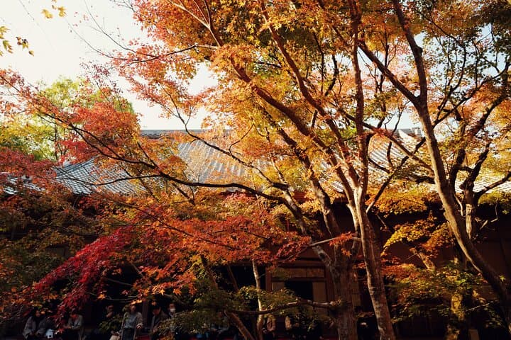 Luxury Classic Kyoto Day Tour - Private Customized Car Tour — photo 5