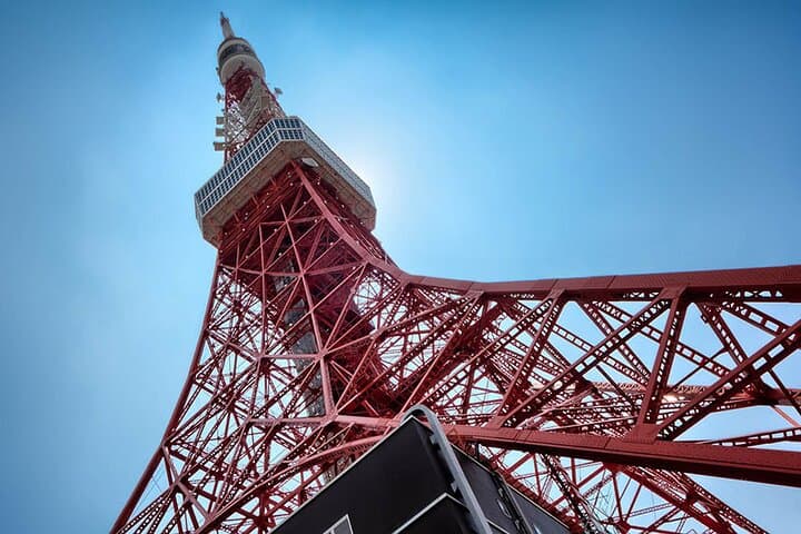 Tokyo Cherry Blossom Half Day Walking Tour with a Local Guide — photo 7