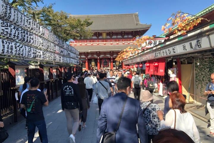 Tokyo Cherry Blossom Half Day Walking Tour with a Local Guide — photo 10