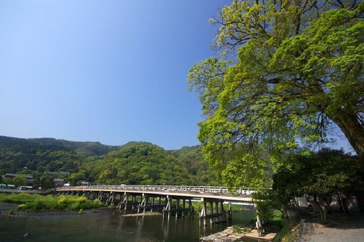 Kyoto 1 Day Golden Route Bus Tour — photo 11