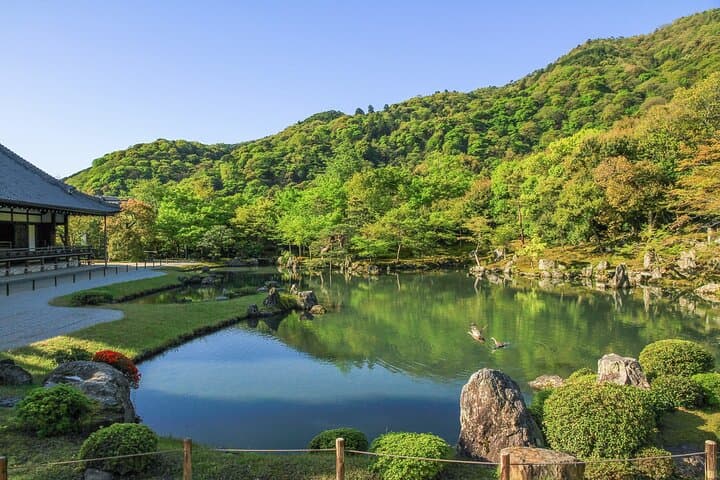 Kyoto 1 Day Golden Route Bus Tour — photo 12