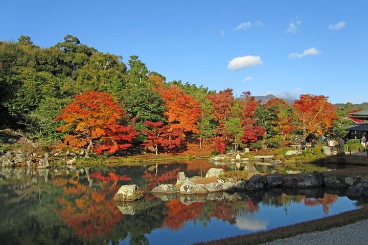 Kyoto 1 Day Golden Route Bus Tour — photo 20