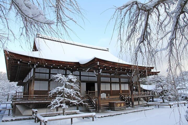 Half Day in Kyoto Arashiyama with Lunch in a Temple Private Tour — photo 9