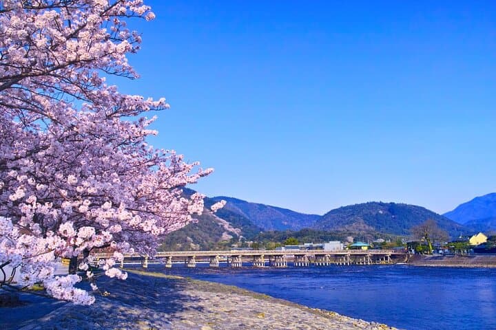 From Kyoto / Osaka: Kyoto Must-see Spots & Nara Park One Day Tour — photo 13