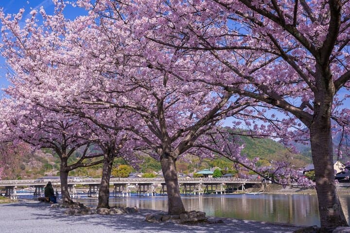 From Kyoto / Osaka: Kyoto Must-see Spots & Nara Park One Day Tour — photo 14