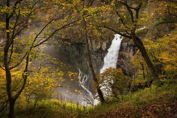Nikko Private Day Tour from Tokyo with English-Speaking Driver — photo 14