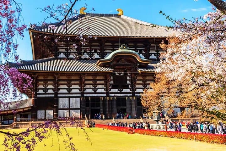Nara Deer Park, Todaiji Temple, Uji Matcha & Hot Spring Day Tour — photo 3