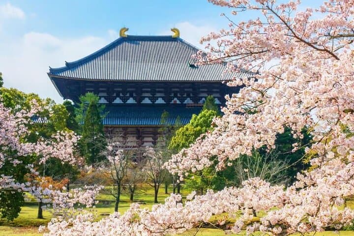 Nara Deer Park, Todaiji Temple, Uji Matcha & Hot Spring Day Tour — photo 4