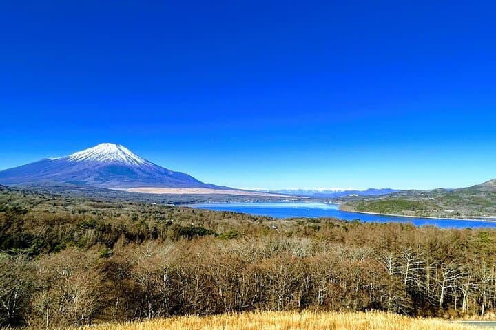 Private Mount Fuji Day Trip from Tokyo by Car — photo 1