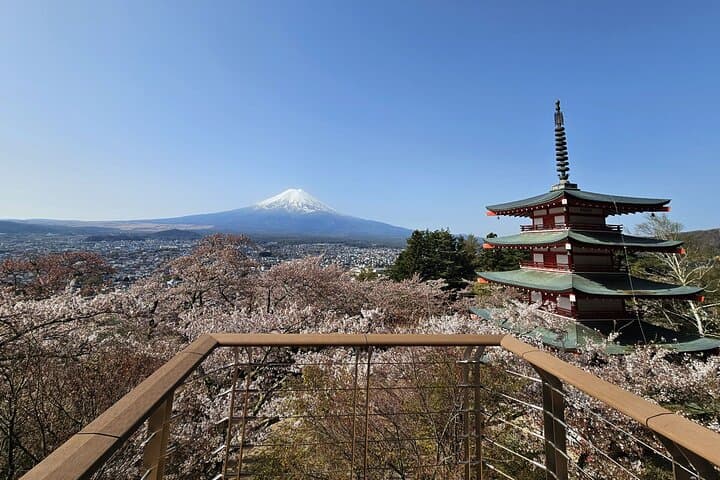 Private Mount Fuji Day Trip from Tokyo by Car — photo 5