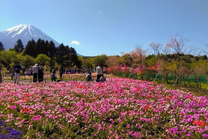 Private Mount Fuji Day Trip from Tokyo by Car — photo 7