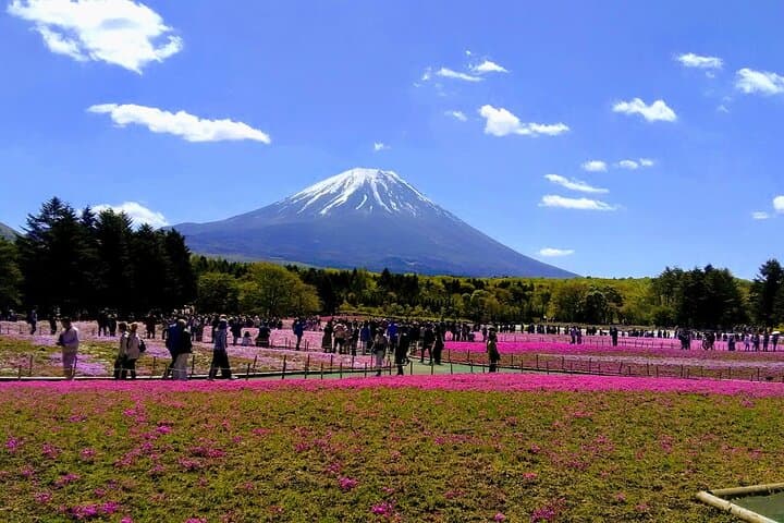 Private Mount Fuji Day Trip from Tokyo by Car — photo 8