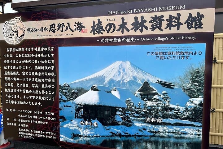 Private Mount Fuji Day Trip from Tokyo by Car — photo 11