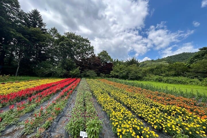 Private Mount Fuji Day Trip from Tokyo by Car — photo 12