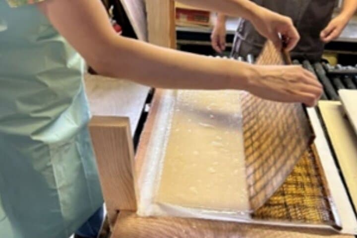 Handmade Japanese Paper Experience in Yoshino (Nara) — photo 3