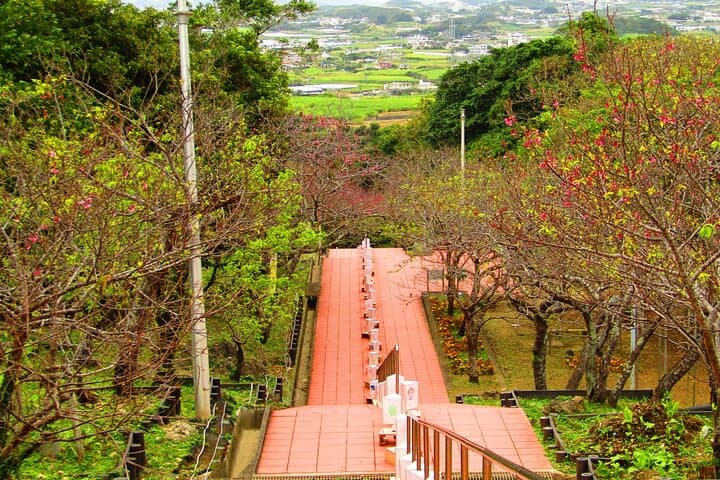 Okinawa Highlight Tour by Private Car — photo 15