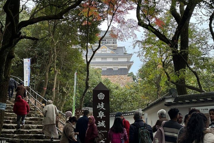 2 Hour Private Scenic Mountain Castle Tour in Gifu — photo 6