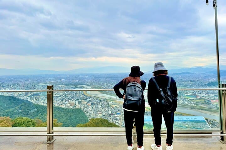 Gifu: Half Day Private Tour Castle, Great Buddha and Old Town — photo 3