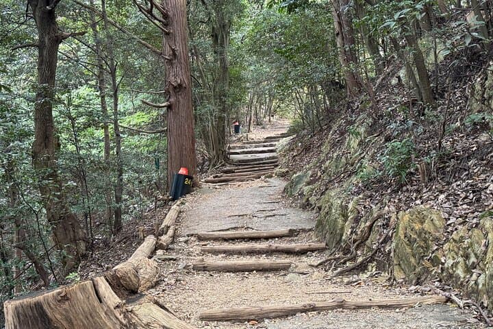 2 Hour Private Scenic Mountain Castle Tour in Gifu — photo 9