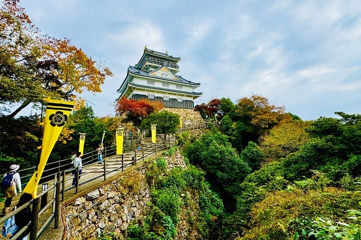 Gifu: Half Day Private Tour Castle, Great Buddha and Old Town — photo 2