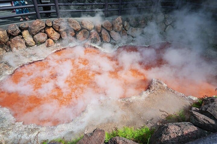 Fukuoka Day Trip to Yufuin, Beppu Hell Onsen and Animal Park — photo 6