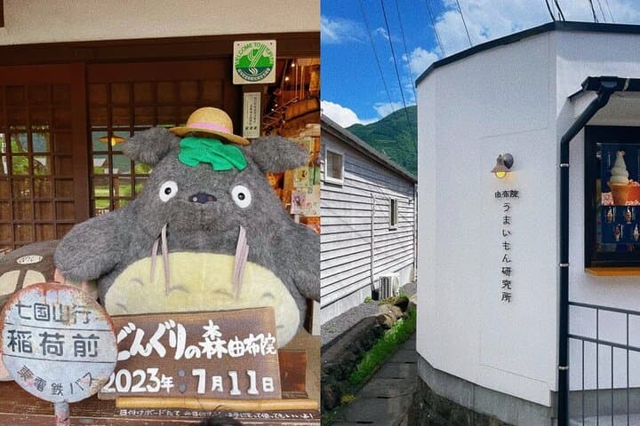 Fukuoka Day Trip to Yufuin, Beppu Hell Onsen and Animal Park — photo 13