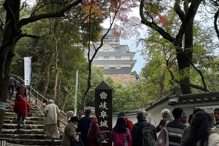 Gifu: Half Day Private Tour Castle, Great Buddha and Old Town — photo 8