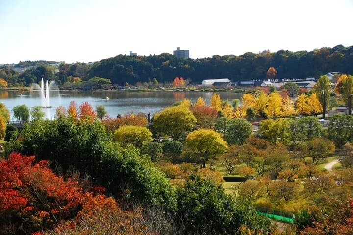 Samurai Fencing Geisha Dance and Mito Kairakuen Garden — photo 10