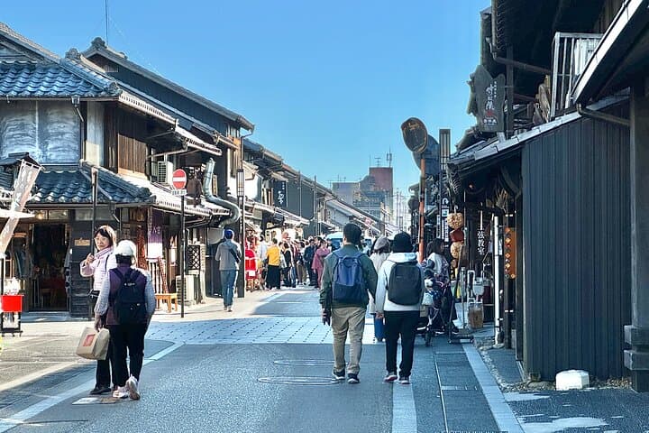 Nagoya: National Treasure Inuyama Castle & Tea Room Private Tour — photo 10
