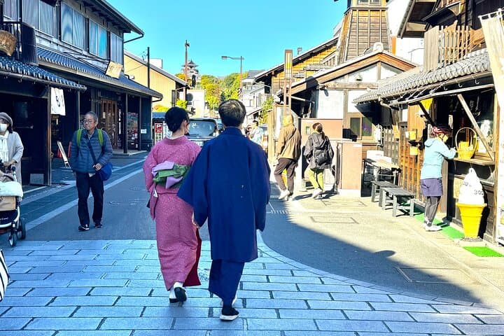 Nagoya: National Treasure Inuyama Castle & Tea Room Private Tour — photo 7