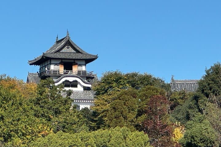 Nagoya: National Treasure Inuyama Castle & Tea Room Private Tour — photo 8
