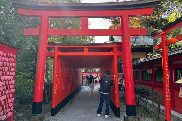 Nagoya: National Treasure Inuyama Castle & Tea Room Private Tour — photo 11