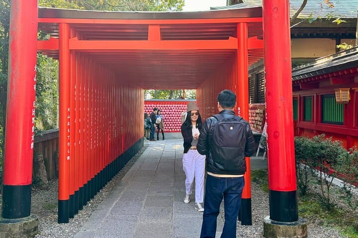 Nagoya: National Treasure Inuyama Castle & Tea Room Private Tour — photo 3