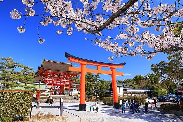 Fushimi Cherry Blossom and Sake Brewery Tour — photo 2