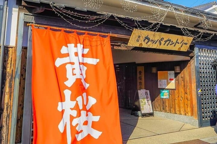 Fushimi Cherry Blossom and Sake Brewery Tour — photo 3