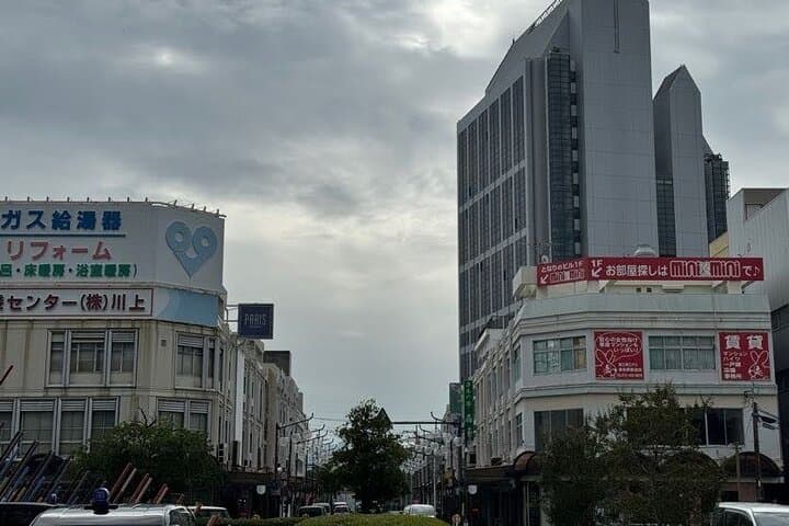 Kansai Airport Local Food & Bar Hopping Tour (Choose Start Point) — photo 11