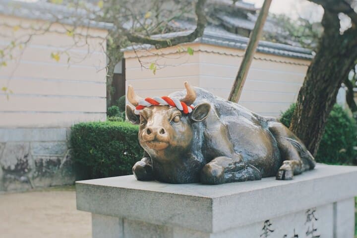 Morning Purification Ritual at Dazaifu Tenmangu by Train Tour — photo 4