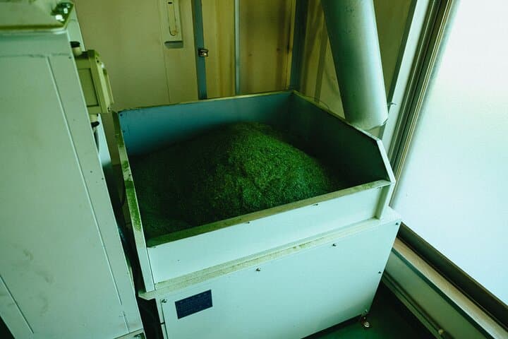 YokaBus A Day in Tea Fields Yame and Yanagawa River Boat — photo 10