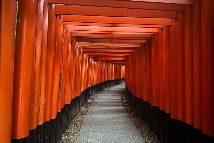 Private Kyoto Morning Tour: Fushimi Inari, Arashiyama & Monkey — photo 16