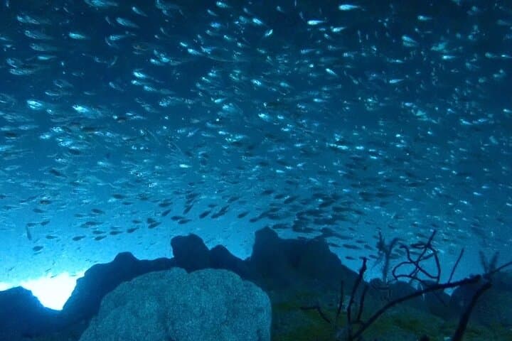 Trial diving tour that even inexperienced people can enjoy safely — photo 2