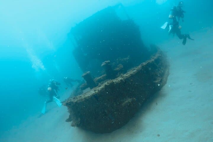 Diving in Kansai, Japan for License Holders — photo 3
