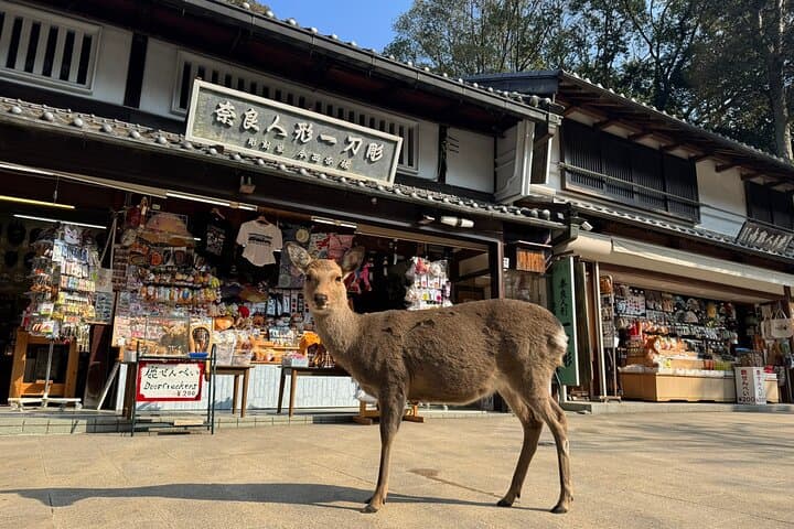 Private Nara Tour and Sake Tasting (Departing from Kyoto/Nara) — photo 19